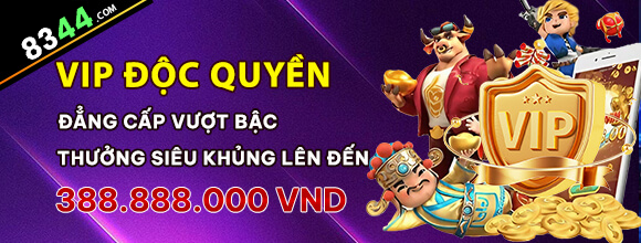 Hình ảnh quảng cáo của vipvn hiển thị nền tảng và các lợi ích