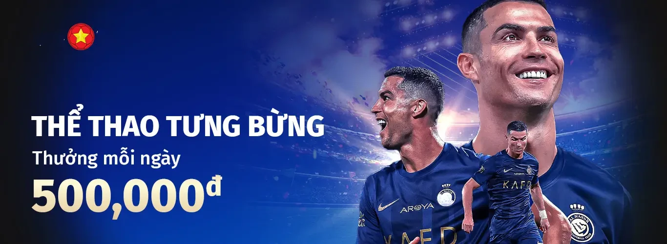 Hình ảnh quảng cáo của vipvn hiển thị nền tảng và các lợi ích