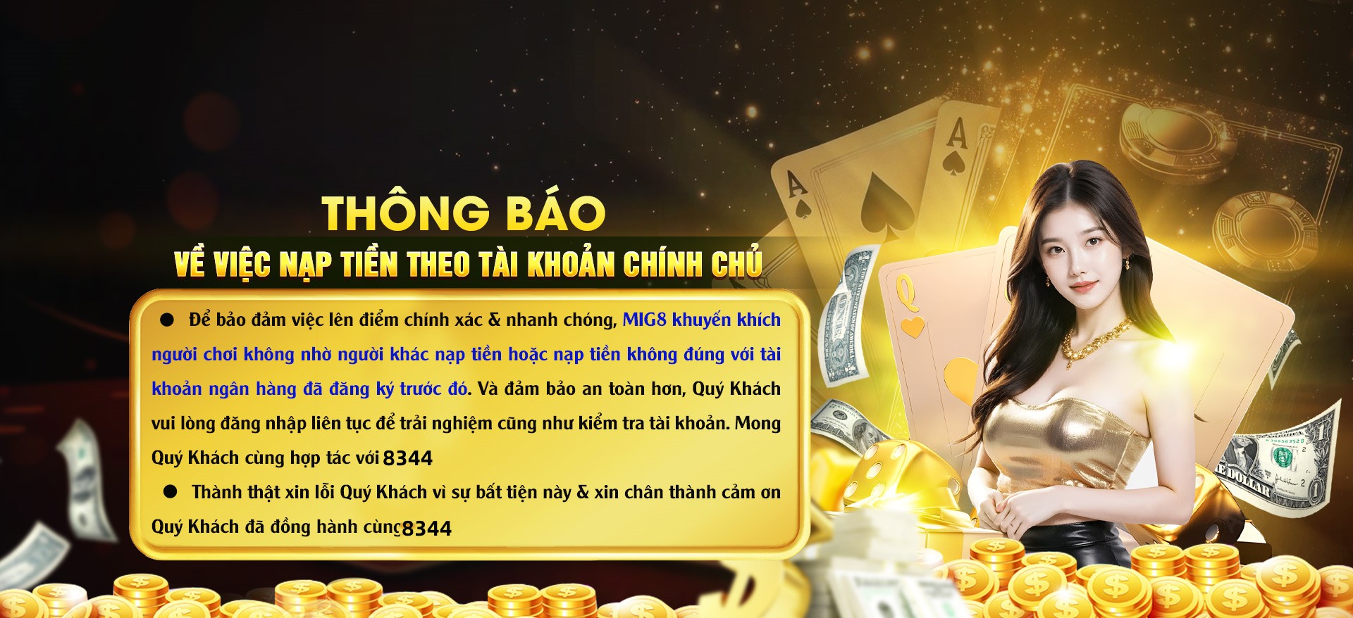 Hình ảnh quảng cáo của vipvn hiển thị nền tảng và các lợi ích