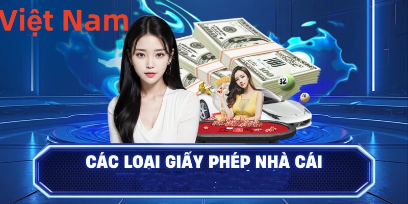 Hình ảnh quảng cáo của vipvn hiển thị nền tảng và các lợi ích