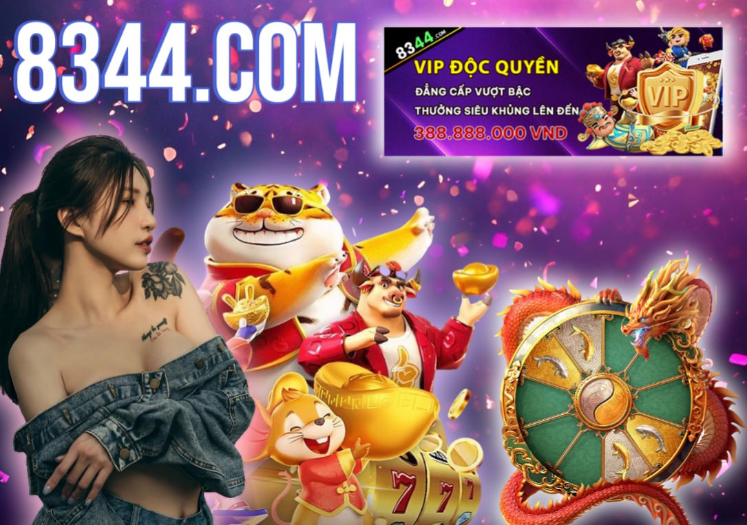 Hình ảnh quảng cáo của vipvn hiển thị nền tảng và các lợi ích